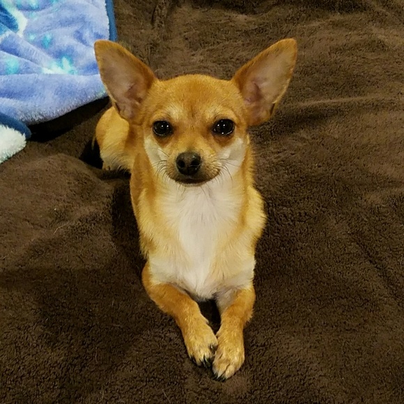 Profile Picture of Lisa Stiener (@stiscuba) on Poshmark