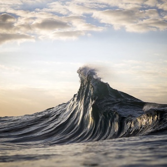 Dug Winningham - Poshmark Profile Picture of Dug Winningham (@dugwinningham) on Poshmark