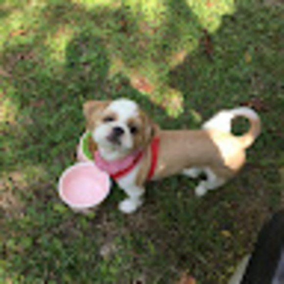 Profile Picture of Joo Joo (@horiho3824) on Poshmark