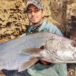 Profile Picture of AhmedSeedat (@maximus1one) on Instagram