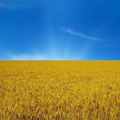 Profile Picture of Richard 💛💙 (@radoeka) on Twitter