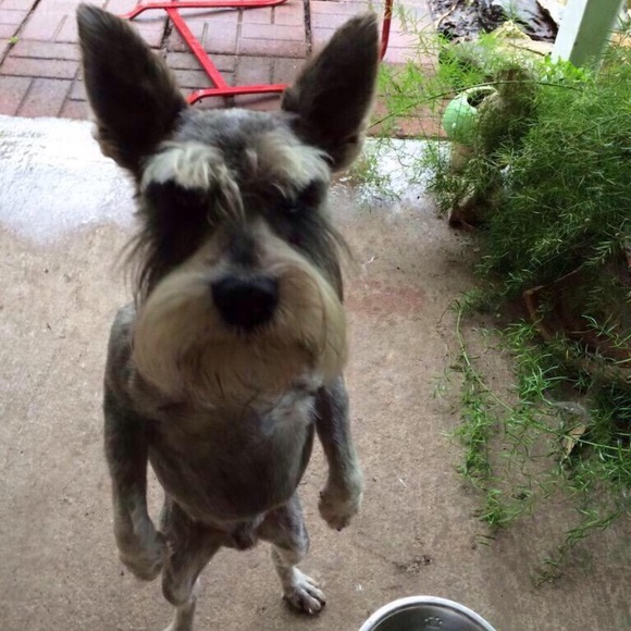 Profile Picture of Paul Liebman (@paul_liebman) on Poshmark