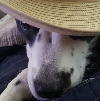 Leigh Crumpler - Facebook Profile Picture of Leigh Crumpler (@leigh.crumpler.5) on Facebook