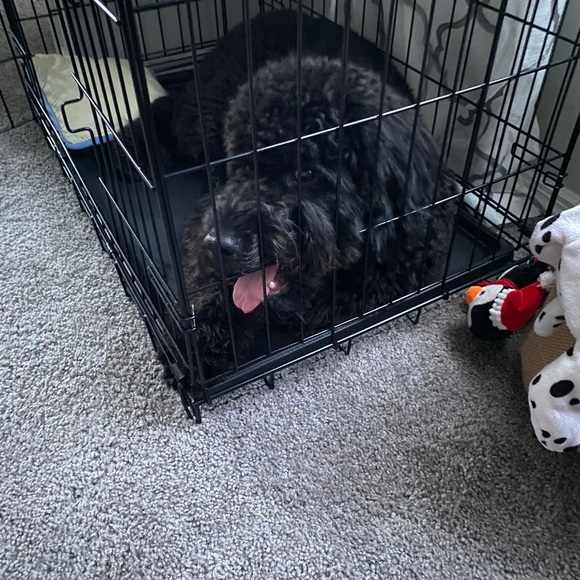 Profile Picture of Michael Lipskiy (@michaellipskiy) on Poshmark