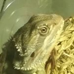 Profile Picture of Nicholas Pemberton (@pembertonnicholas) on Instagram