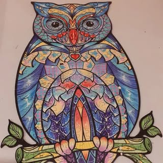 Profile Picture of Kim Schaub (@schaub_kim) on Instagram