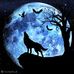 Profile Picture of Amir Shahbazi (@amir.shahbazi.545) on Facebook