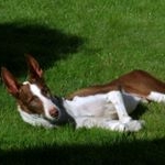 Profile Picture of leah michelle brenner (@leah_br_) on Instagram