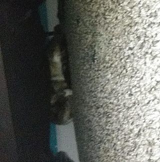 Profile Picture of Wyatt Denny (@wyatt.denny.39) on Facebook