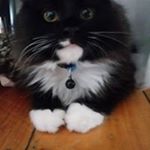 Profile Picture of Brian Quam (@brian.quam.98) on Instagram