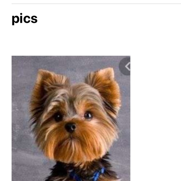 Profile Picture of Amy Klemp (@mamitak99) on Poshmark