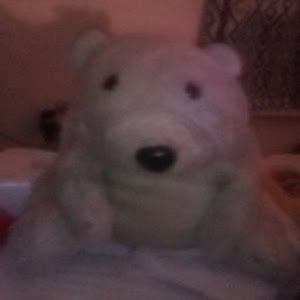 Profile Picture of Matthew Beakley (@matthew.beakley) on Tiktok