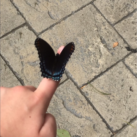 Profile Picture of Madison Sirmon (@m_sirmon) on Poshmark