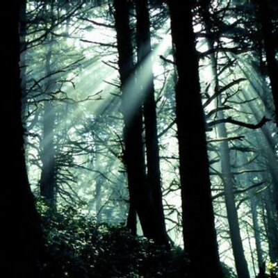 Profile Picture of Pierre Chevrier (@Marxophage) on Twitter