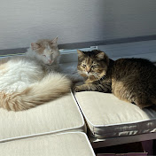 Profile Picture of Alexander Lin (@alexanderlin2022) on Youtube