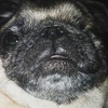 Profile Picture of benjamin_hulick (@@benjamin_hulick) on Tiktok