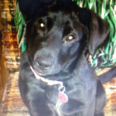 Profile Picture of Erin Sampont- Varga (@esampont) on Twitter