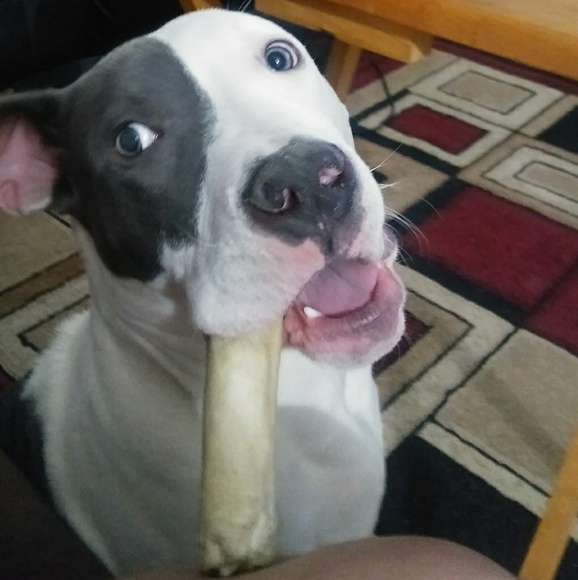 Profile Picture of William Rodriguez (@willie7511) on Poshmark