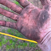 Profile Picture of Cory Hanna (@coryhanna8430) on Youtube