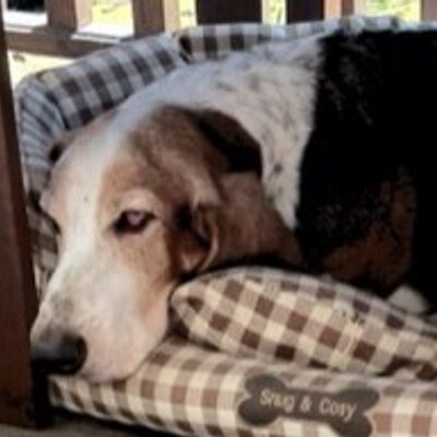 Profile Picture of Gill Bradford (@@gb9oak) on Twitter