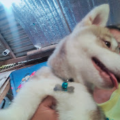 Profile Picture of Scott Nicolai Caliza (@ScottnicolaiCaliza) on Youtube