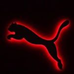 Profile Picture of Elmy J Morales Bosch (@joel_bosch) on Instagram