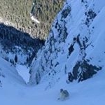 Profile Picture of Eric Shedd (@shedd.me) on Instagram