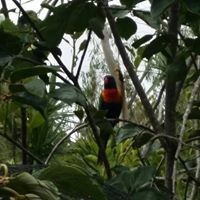 Adeline Chow - Quora Profile Picture of Adeline Chow (@adeline-chow-5) on Quora