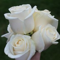 Profile Picture of Luke Pyle (@luke-pyle-5) on Quora