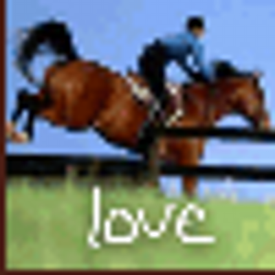 Profile Picture of Bert Schroeder (@SchroederBert) on Twitter