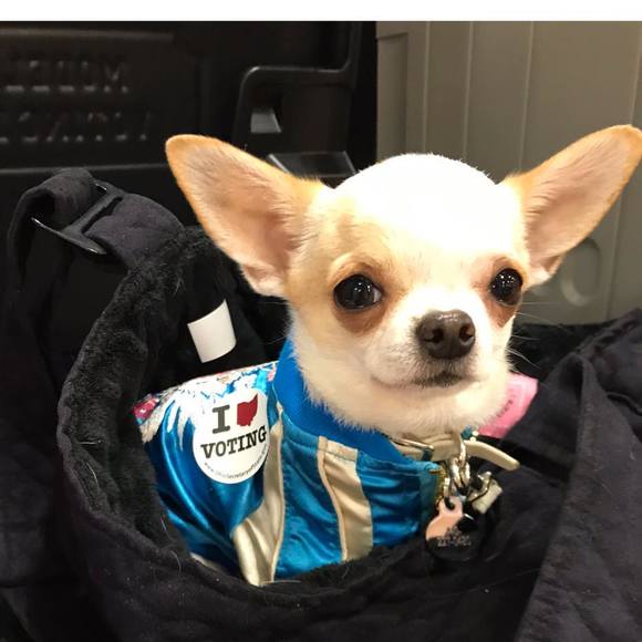 Profile Picture of Diane Krach (@didikrach) on Poshmark