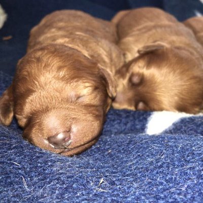 Profile Picture of Tilly 🎃 (@TillyClark5) on Twitter