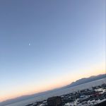 Profile Picture of Matthew Schavone (@matthew.sofficial) on Instagram