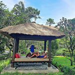 Profile Picture of Callen Petersen (@petersencallen) on Instagram