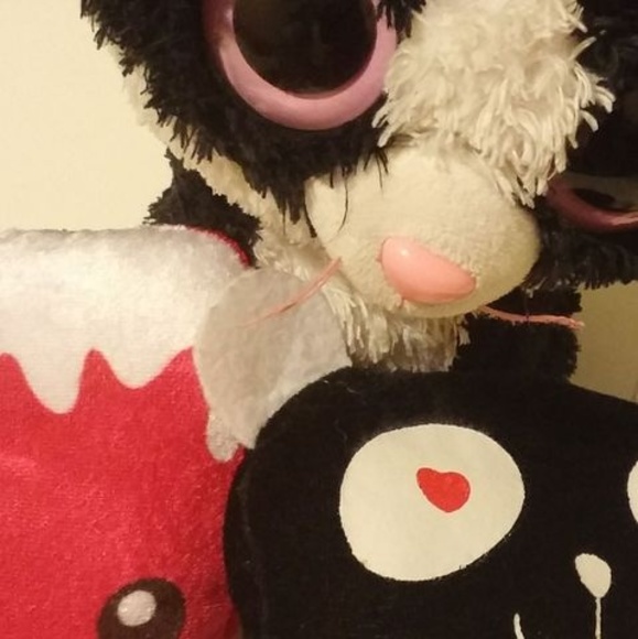 Profile Picture of Moon Ray (@moonray575) on Poshmark