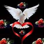 Profile Picture of Steve Neely (@steve.neely.1422) on Instagram