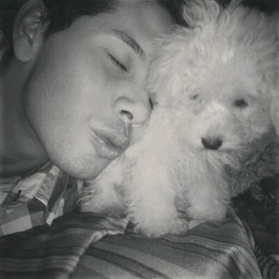 Profile Picture of Daniel Nieves (@danielnieves) on Twitter