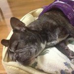 Profile Picture of Mari Yoshimura (@yoshimma) on Instagram