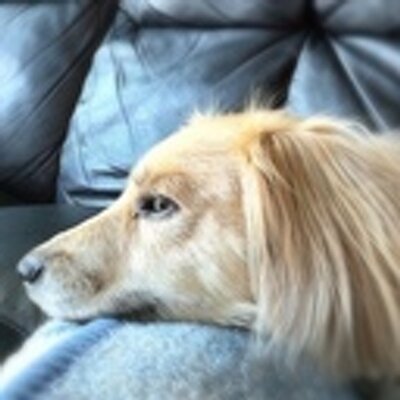 Profile Picture of Lorraine Serrano (@lorraineserra16) on Twitter