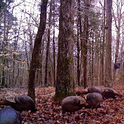 Profile Picture of Jeff Littrell Outdoors Production (@jefflittrelloutdoorsproduc782) on Youtube