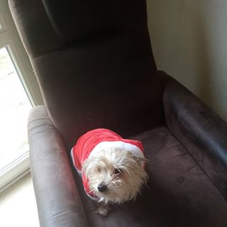 Profile Picture of Jerome Benavides (@jerome.benavides.16) on Facebook