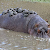 Profile Picture of Chuck Fuller (@chuckfuller8156) on Youtube