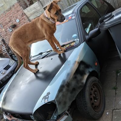 Profile Picture of Michael Bleakley (@MichaelBleakle9) on Twitter