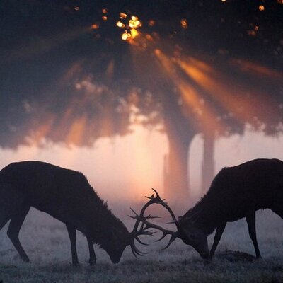 Profile Picture of Jerry Mcculloch (@jerjer72) on Twitter