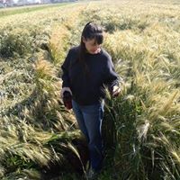 Profile Picture of Lori Lawson (@lori-lawson-10) on Quora