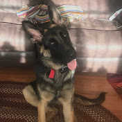 Profile Picture of Levi Thompson (@levithompson4579) on Youtube