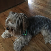 Profile Picture of LaShay Gray (@lashaygray6682) on Youtube