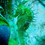 Profile Picture of Jacobo Saenz de Buruaga (@jacobosbs) on Instagram