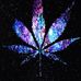 Profile Picture of Jayson Biddle (@jayson.biddle.14) on Facebook