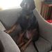 Profile Picture of David Biello (@davidbiello5) on Pinterest